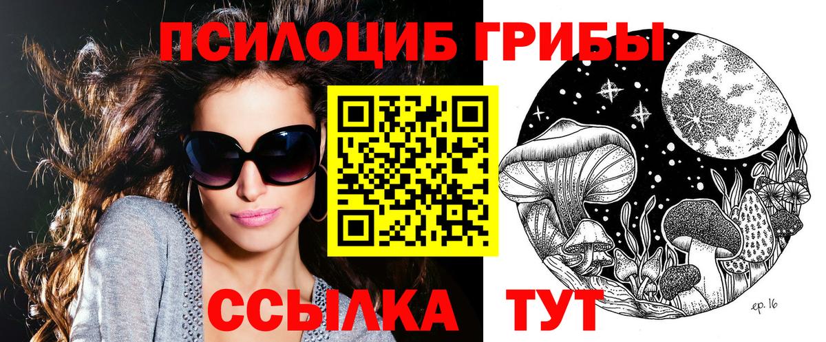 Протвино  Галлюциногенные грибы ЛСД  Вход с VPN 
