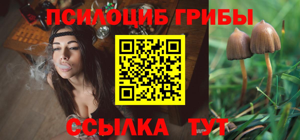 Псилоцибиновые грибы Cubensis Протвино