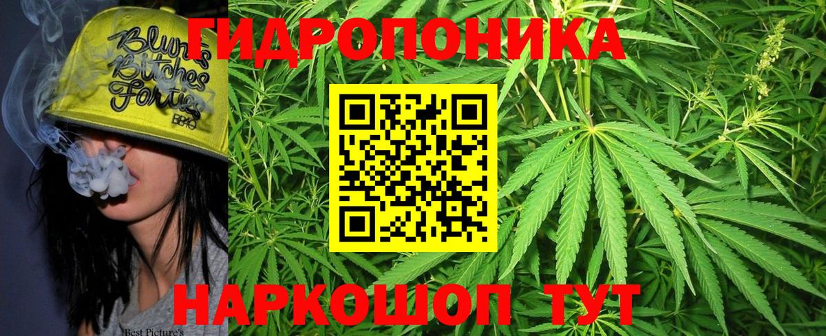 Бошки Шишки SATIVA & INDICA  Канабис ГИДРОПОН  Бошки Шишки Ganja  Протвино  Вход с VPN  Конопля сатива 